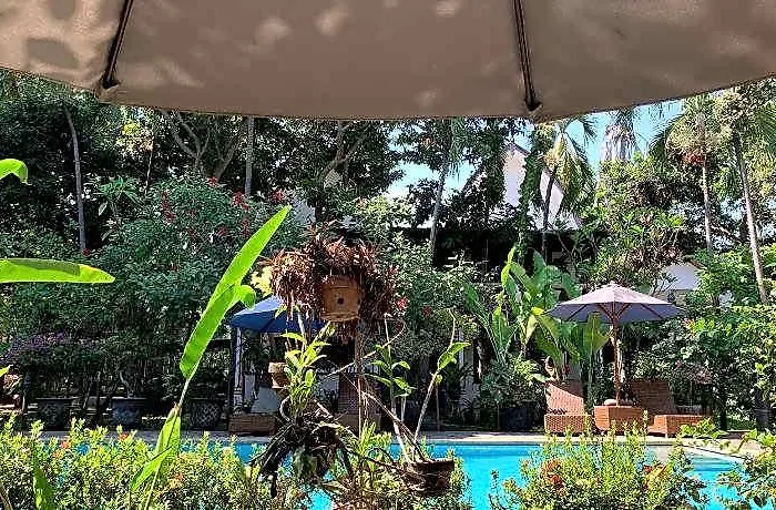 Lumbung Lovina (Bali)