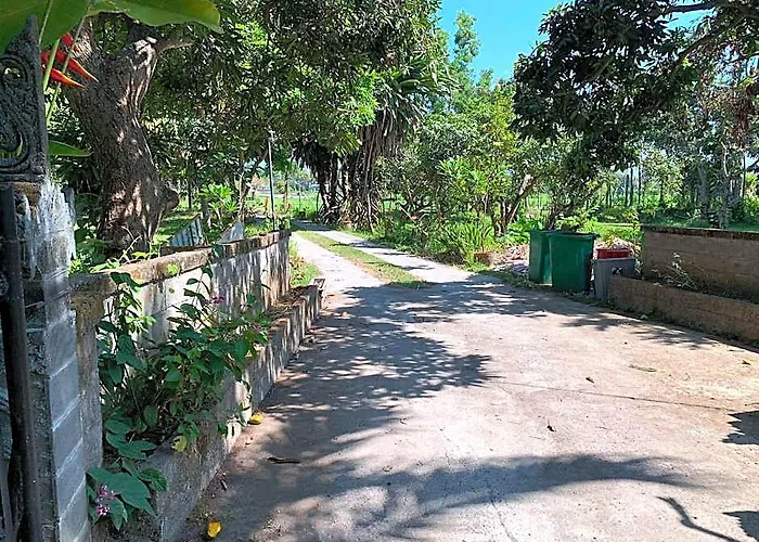 Lumbung Apartment Lovina (Bali)